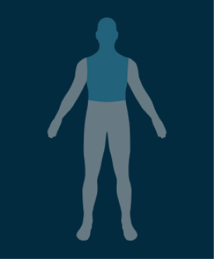 Head and Neck Solutions