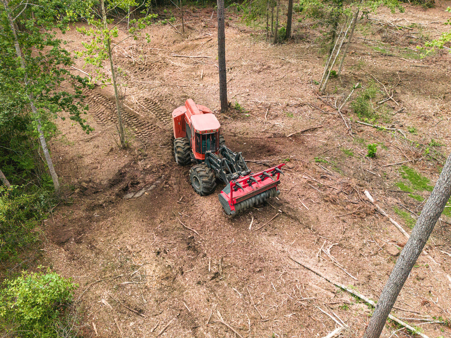 Tractor Mulching Trees