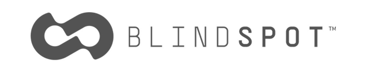 Blindspot Ventures