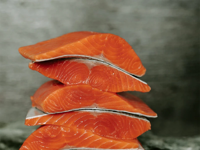 Salmon