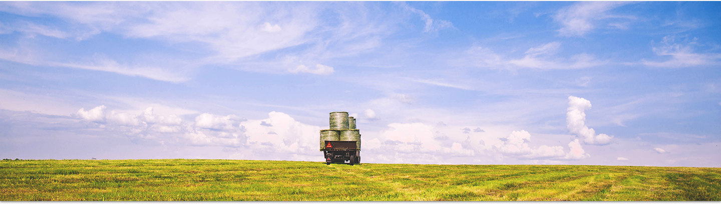 Agricullture BG