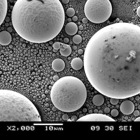 Scanning Electron Microscopy