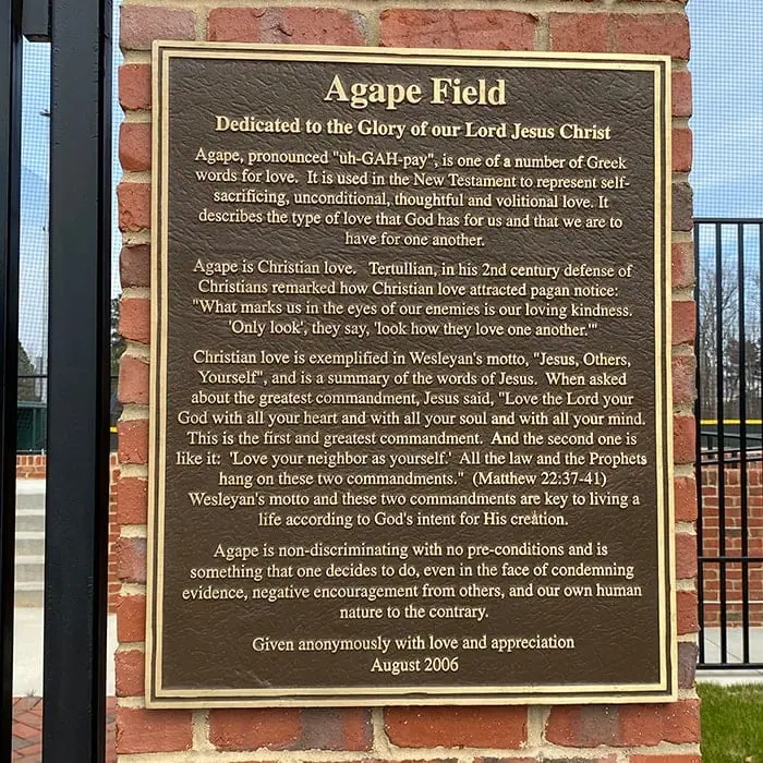 Plaques