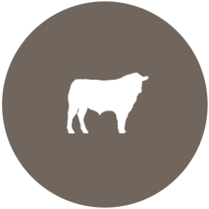 Beef