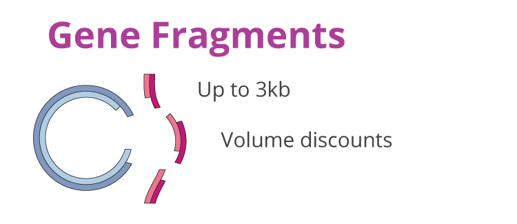 BHBfragmentbanner-test