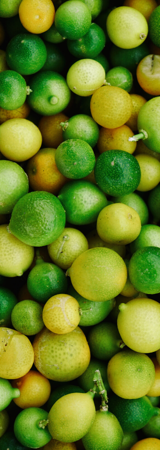Limes Vegan Food Delivery