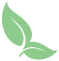 Green Leaf