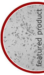 Featured Products