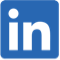 LI-In-Bug