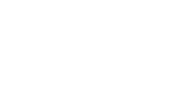 F1 Racing