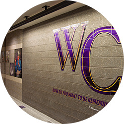 Wall Graphics