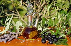 Olive Pests
