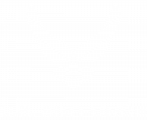 Air-force-white
