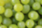 Berry Analysis