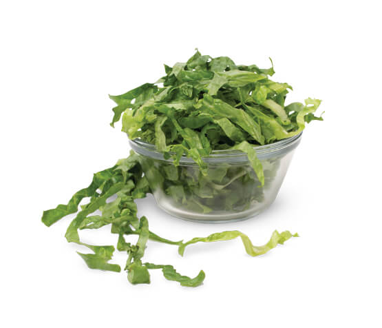 Home Romaine Shred