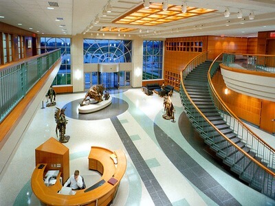 Museum Gallery