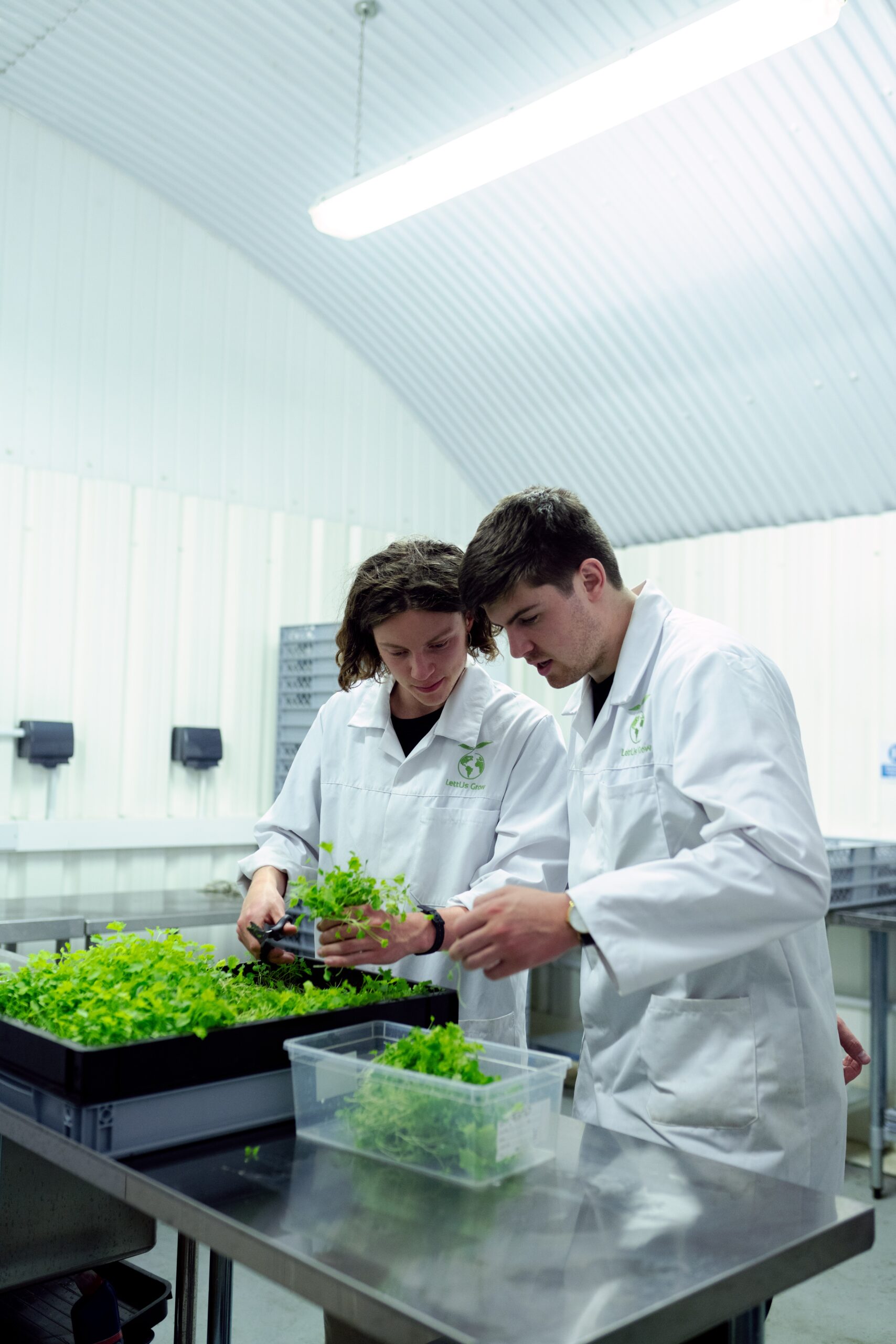 Scientist Looking At Plants