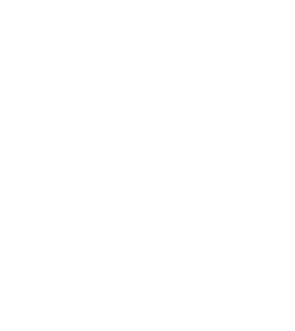 Mesh