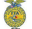 Rio Rico FAA