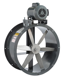 Fan Tubuak