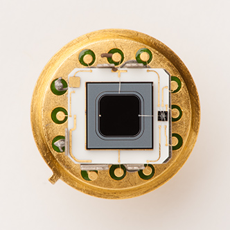 Hybrid Micro-Electronic Circuits