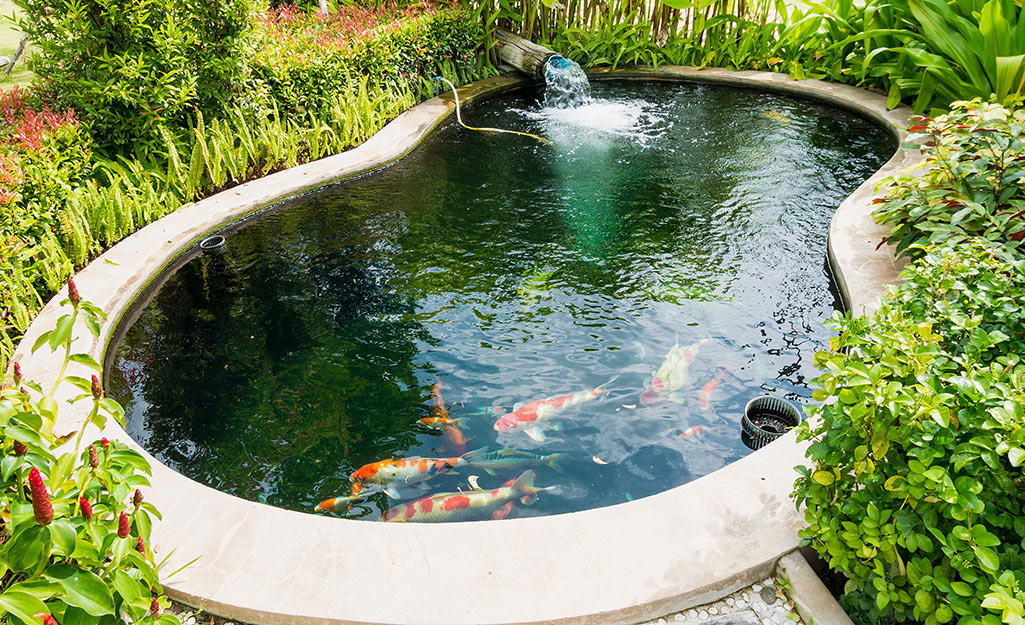 Fish-pool