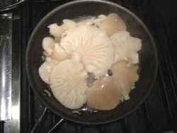 Drunken' Shrooms Over Pasta