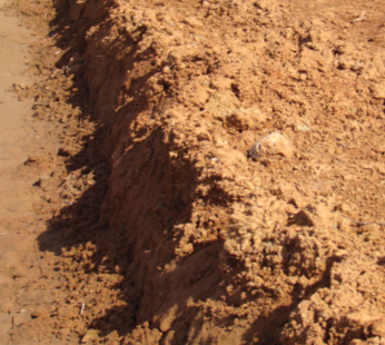 Soil