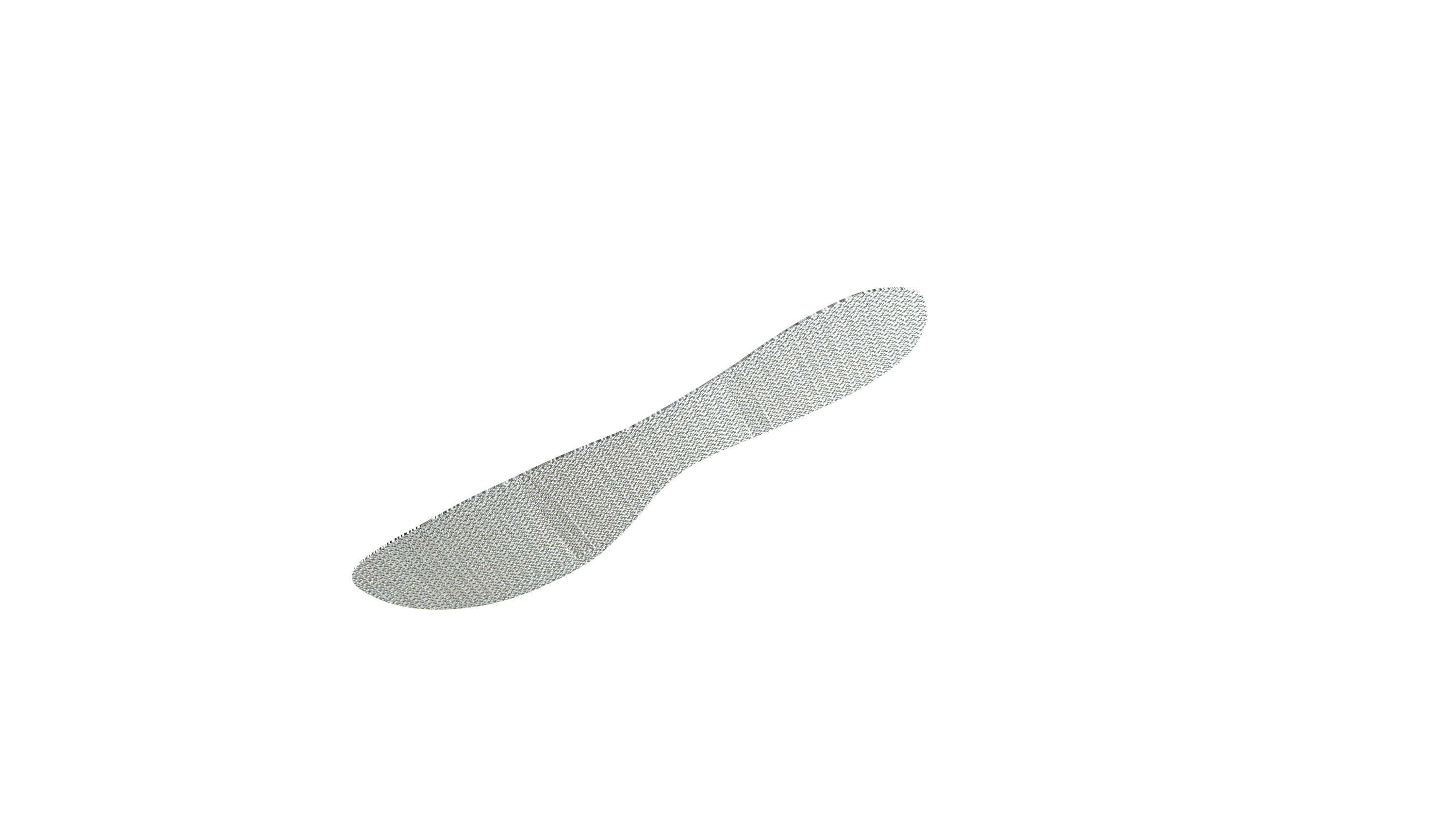 Shoe-Section