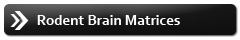 Rodent Brain Matrices
