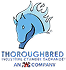 Thoroughbred