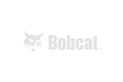 Bobcat