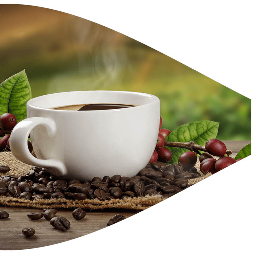 Coffee Choices