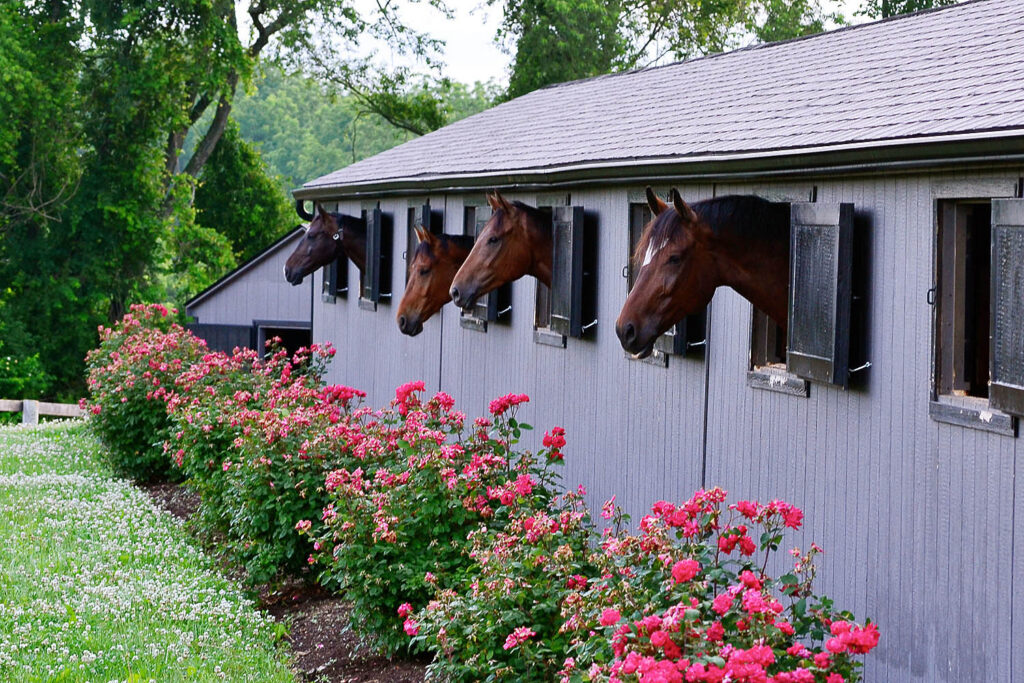 Stable Row