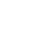 Social Icons
