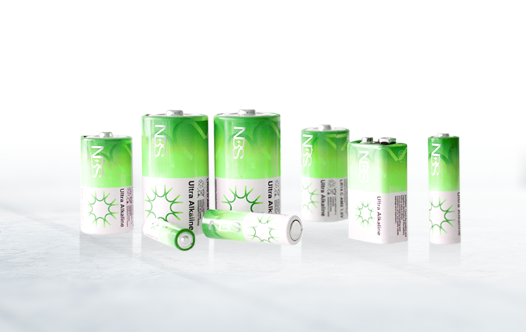 Carbon Zinc Battery