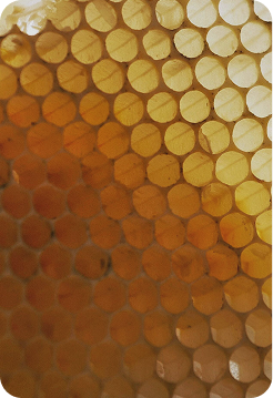 Beeswax