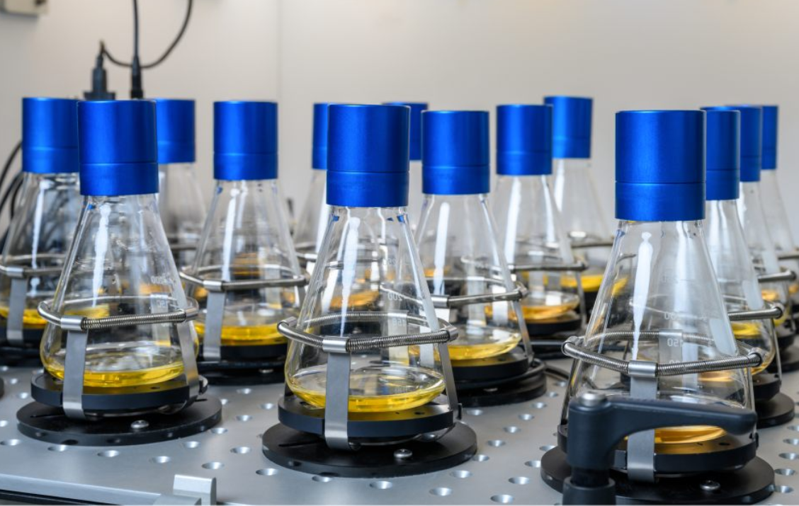 Microbial Fermentation