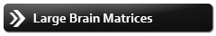 Large Brain Matrices