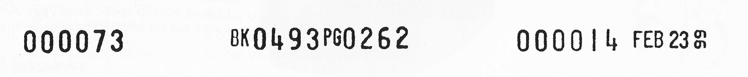 Scan_20240613 (2)