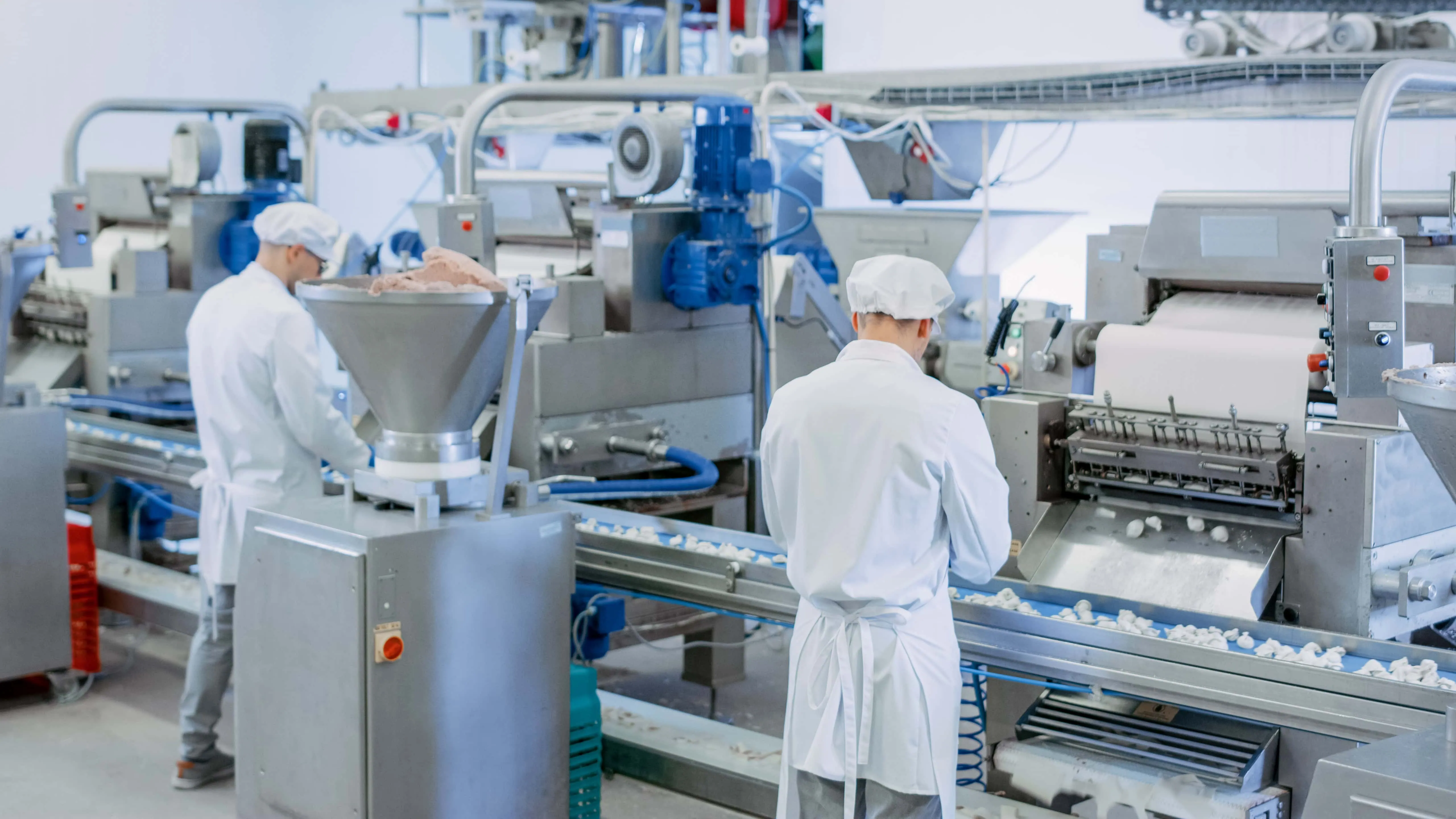 Food Processing