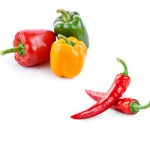 Pepper Harvest
