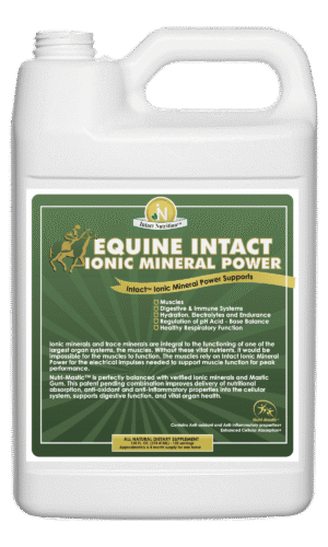 Equine Intact™