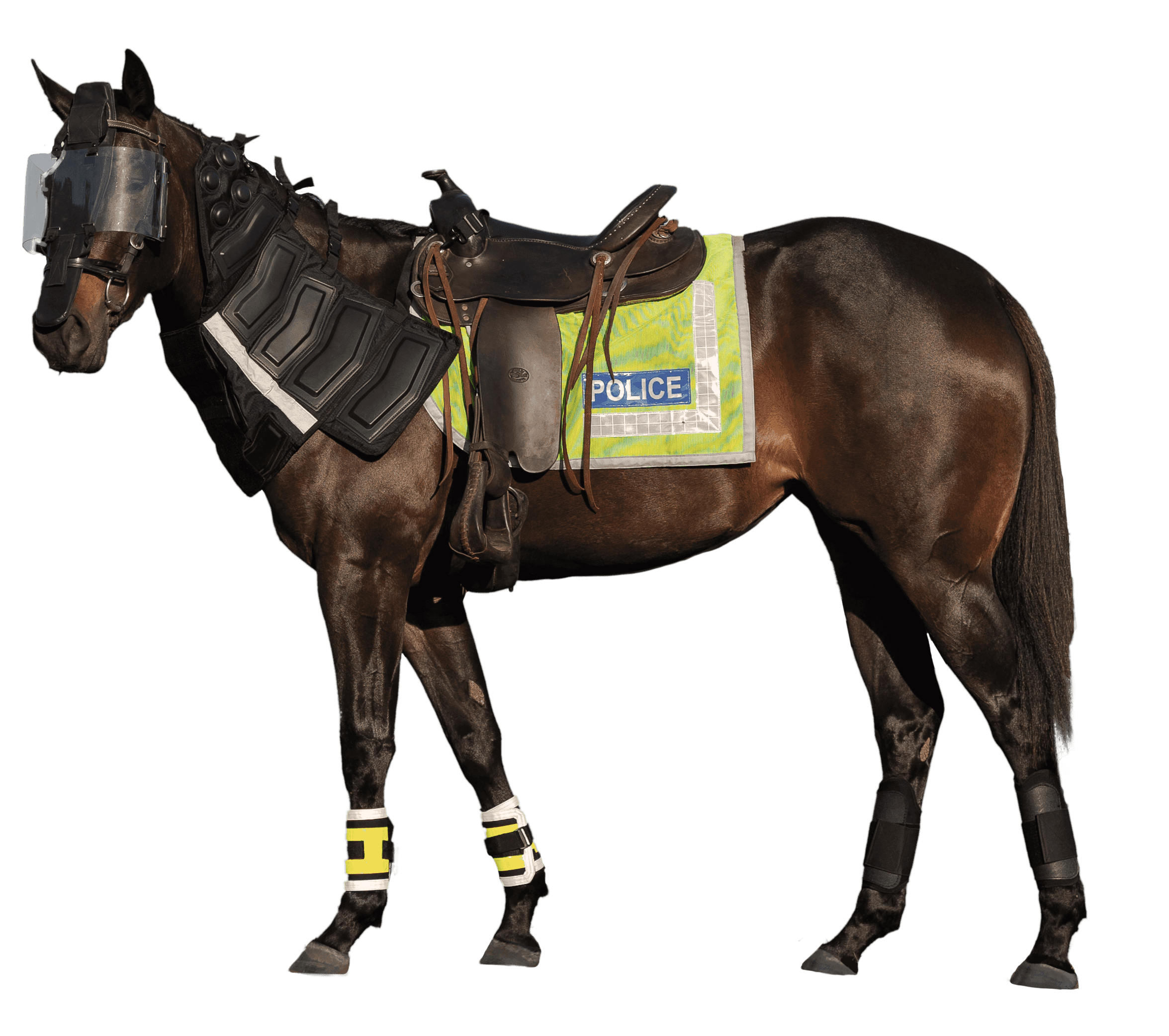 Mounted Kit