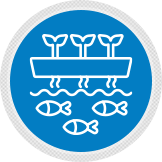Aquaponic Systems