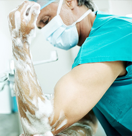 Medical & Dental