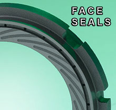 faceSealA1Edited4
