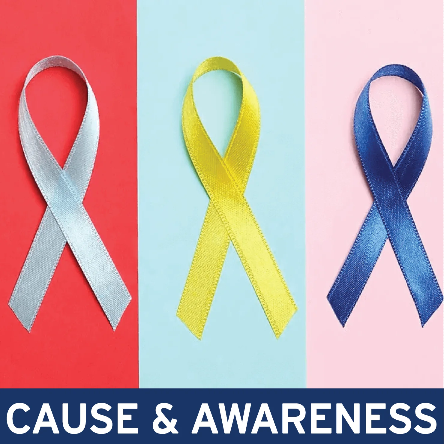 Cause & Awareness
