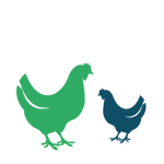 Veterinary