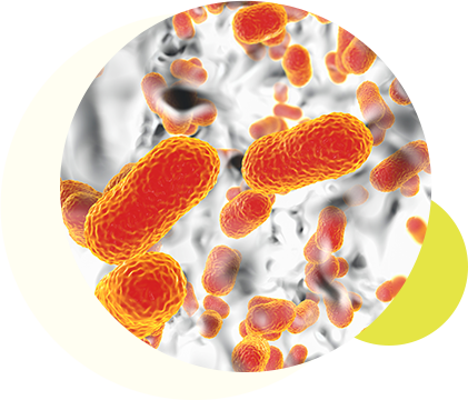 Antibiotic research1